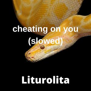 柳菁菁菁萃的图片100张最新
