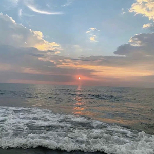 柳菁菁菁萃的图片100张最新
